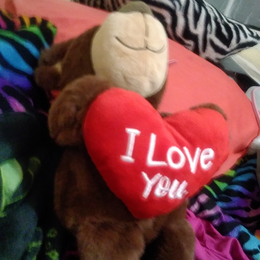 Plush Bear Toy with Red Heart